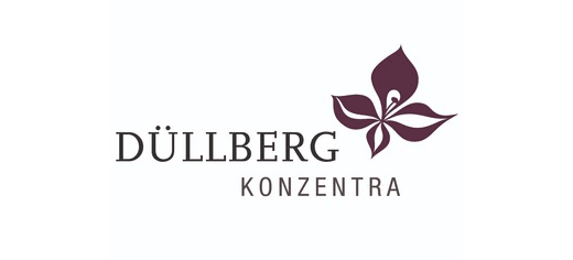 duellberg logo